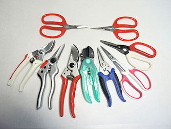 scissors